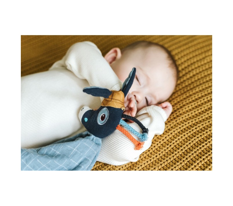 DOUDOU STRACCETTO IN COTONE - IGNACE L'ASINO