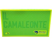 IL CAMALEONTE
