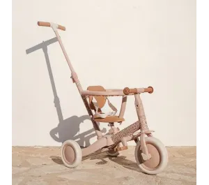 BICI TRICICLO CON MANICO 5 IN 1 LITTLE DUTCH - ROSA