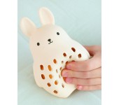 SONAGLINO E DENTARUOLO IN SILICONE 2 IN 1 - CONIGLIETTO