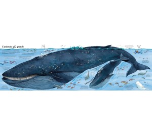 IL GRANDE LIBRO DEGLI ANIMALI