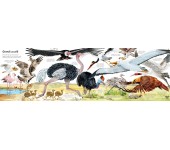 IL GRANDE LIBRO DEGLI ANIMALI