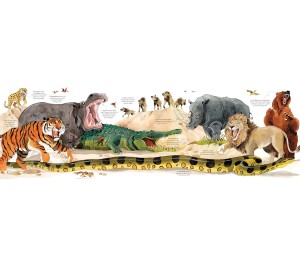 IL GRANDE LIBRO DEGLI ANIMALI