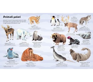 IL GRANDE LIBRO DEGLI ANIMALI