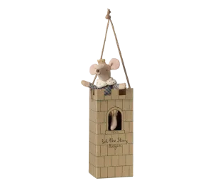 MICRO - TOPINI - BIG BROTHER PRINCIPE 2025
