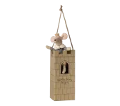 MICRO - TOPINI - BIG BROTHER PRINCIPE 2025