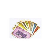 TICKET TO RIDE EUROPA