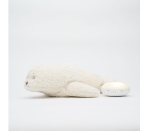 MOONIE 2.0 FOCA LUCE E SUONI - POLAR