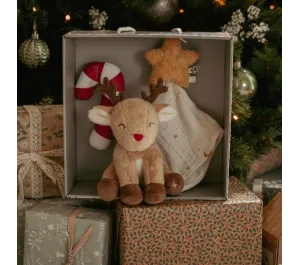 COFANETTO REGALO NASCITA - NATALE