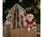 SET LIBRO DI NATALE E JIM ELFO