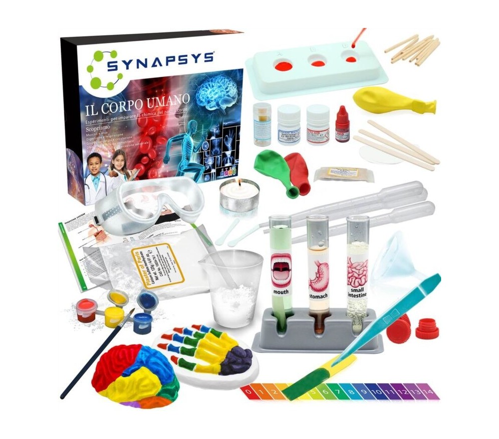 LABORATORIO SUL CORPO UMANO