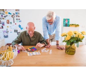 SMART GAMES - DROPZONE