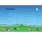 LIBRO DI FIABE - POPPY E SAM STORIE DELLA BUONANOTTE