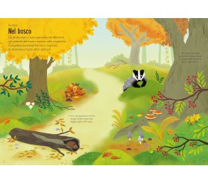 PICCOLO LIBRO CON ADESIVI - LA NATURA INTORNOA  NOI