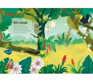 PICCOLO LIBRO CON ADESIVI - LA NATURA INTORNOA  NOI