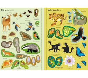 PICCOLO LIBRO CON ADESIVI - LA NATURA INTORNOA  NOI