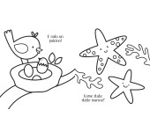 COLORARE CHE PASSIONE