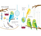 LIBRO PREGRAFISMO DISEGNO E CANCELLO - PICCOLE ATTIVITA' - AMICI ANIMALI