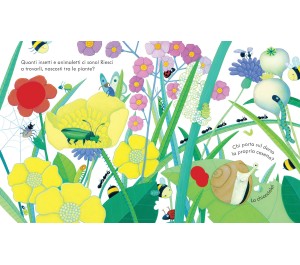 LIBRO CUCU' - DOVE VIVONO GLI INSETTI?