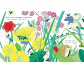 LIBRO CUCU' - DOVE VIVONO GLI INSETTI?