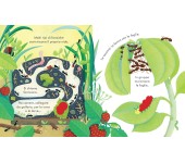 LIBRO CUCU' - DOVE VIVONO GLI INSETTI?