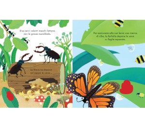 LIBRO CUCU' - DOVE VIVONO GLI INSETTI?