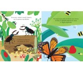 LIBRO CUCU' - DOVE VIVONO GLI INSETTI?