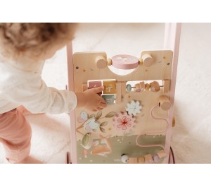 CARRETTO PRIMI PASSI CON ATTIVITA' FAIRY GARDEN