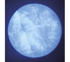 MICROSCOPIO INGRANDITORE PORTATILE