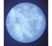 MICROSCOPIO INGRANDITORE PORTATILE