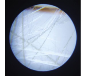 MICROSCOPIO INGRANDITORE PORTATILE