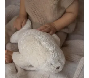 MOONIE 2.0 FOCA LUCE E SUONI - POLAR