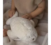 MOONIE 2.0 FOCA LUCE E SUONI - POLAR