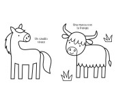 COLORARE CHE PASSIONE - ANIMALI