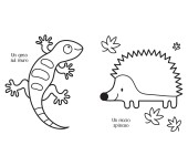 COLORARE CHE PASSIONE - ANIMALI