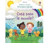 COSA SONO LE NUVOLE?