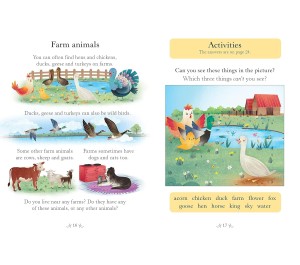 LIBRO IN INGLESE - CHICKEN LICKEN