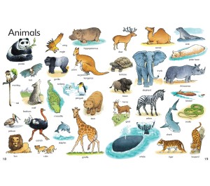 LIBRO IN INGLESE - THE USBORNE FIRST THOUSAND WORDS IN ENGLISH