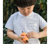 ORNITORINCHI NUOTATORI A CARICA