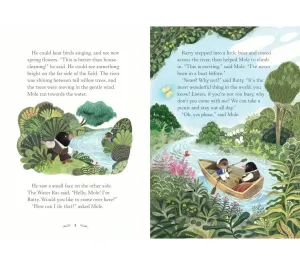 LIBRO IN INGLESE - THE WIND IN THE WILLOWS