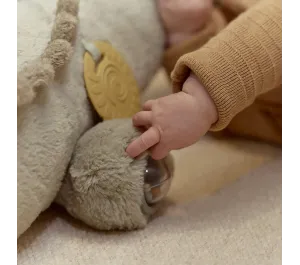 PELUCHE ATTIVITA' SAFARI - COCCODRILLO XL