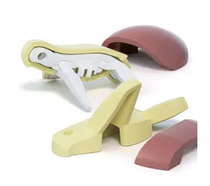 HALF TOYS - ANIMALE MAGNETICO E PUZZLE 3D - TARTARUGA