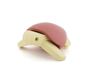 HALF TOYS - ANIMALE MAGNETICO E PUZZLE 3D - TARTARUGA