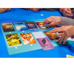 DIXIT UNIVERSE ACCESS