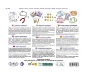 SET BRACCIALETTI SPIRALE