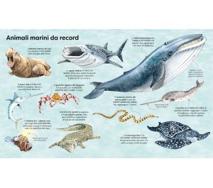 IL GRANDE LIBRO DEGLI ANIMALI MARINI
