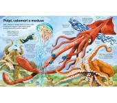 IL GRANDE LIBRO DEGLI ANIMALI MARINI